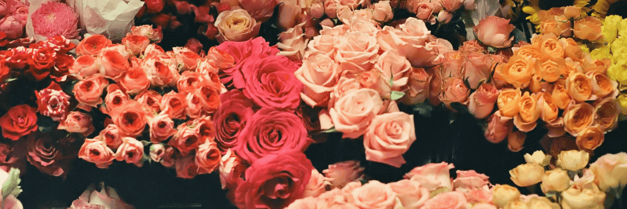 Banner Principal da página Floricultura